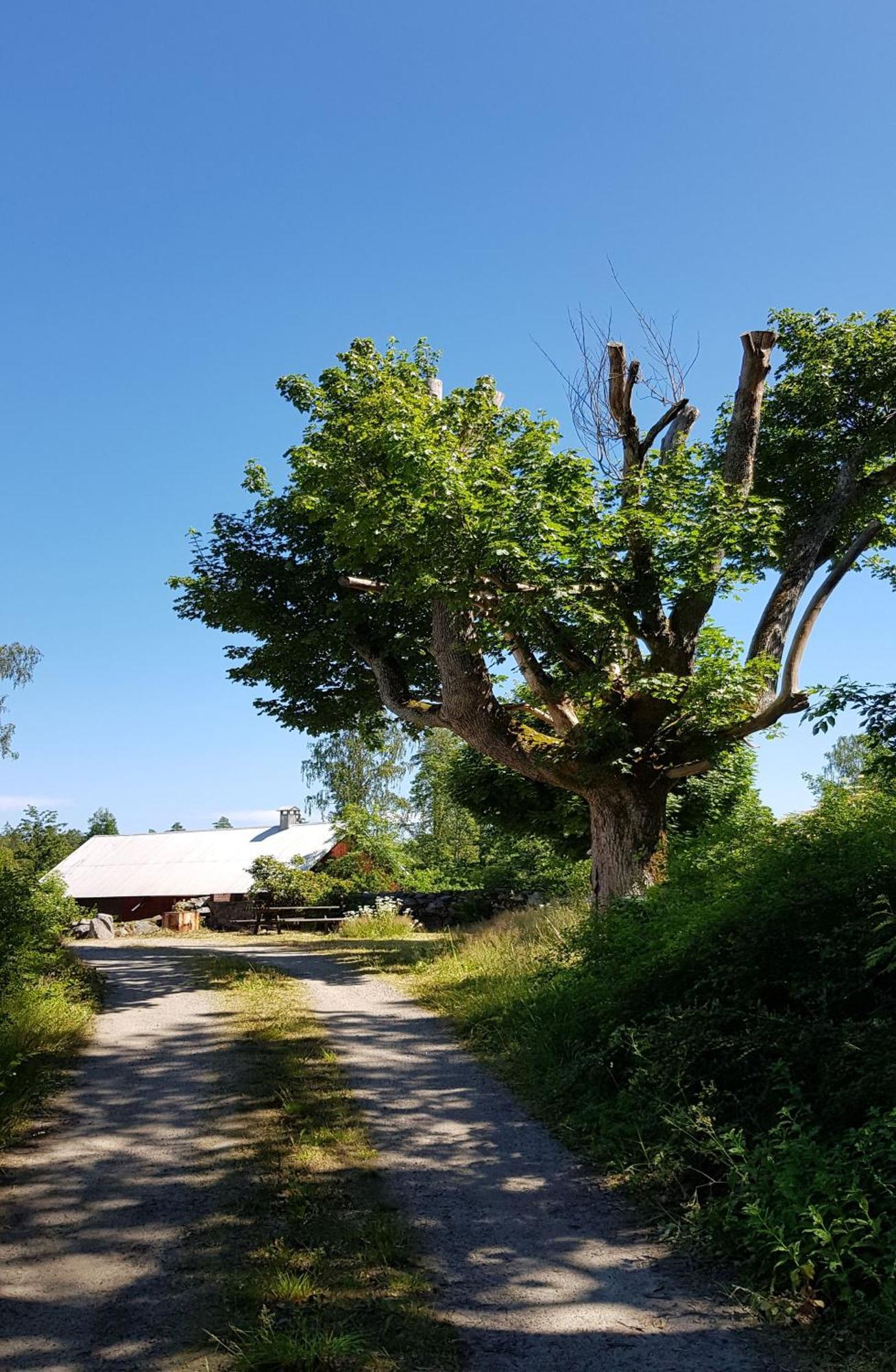 Stroenhult Farmhouse By The Lake Stronhult ภายนอก รูปภาพ